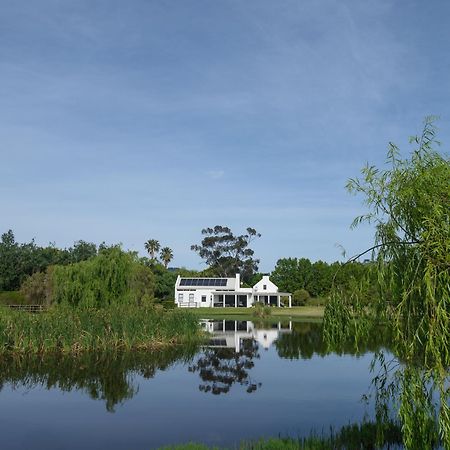 Sanddrif Stellenbosch Guest Farm Екстер'єр фото