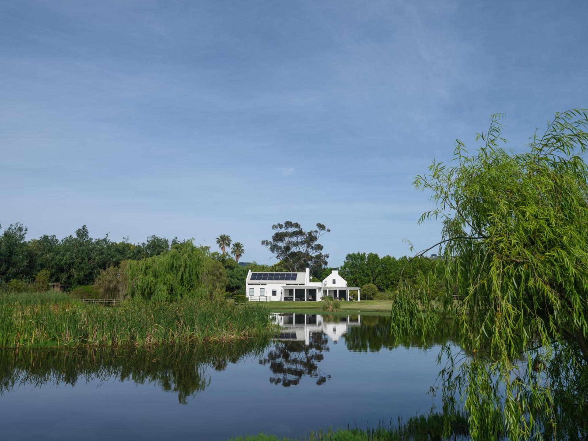 Sanddrif Stellenbosch Guest Farm Екстер'єр фото