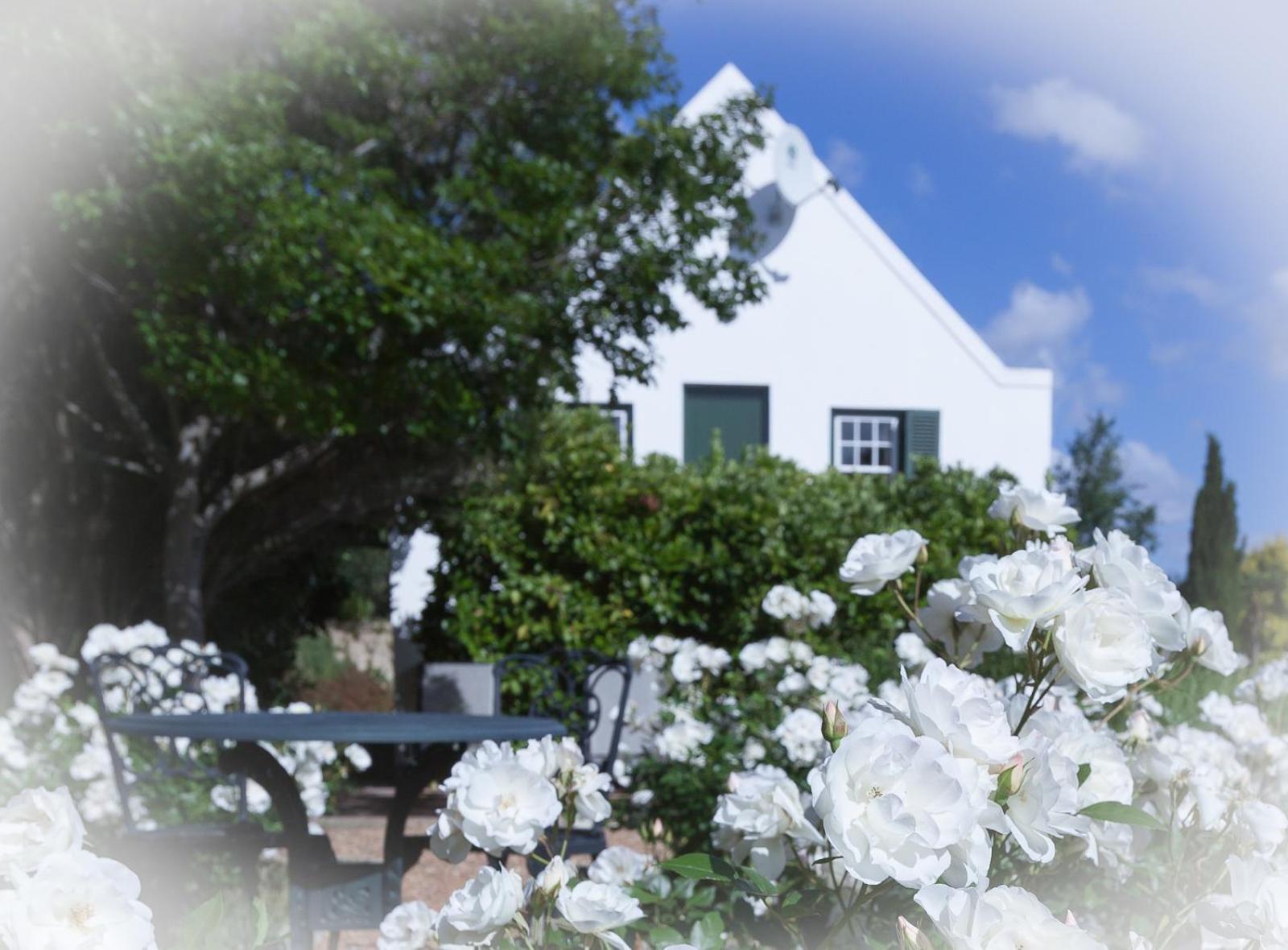 Sanddrif Stellenbosch Guest Farm Екстер'єр фото